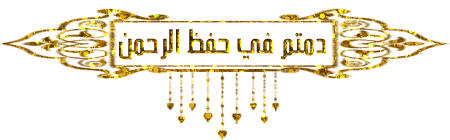 169130243600012.gif