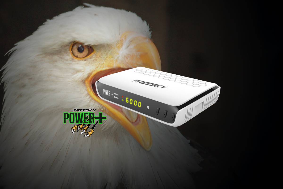 freesky.online